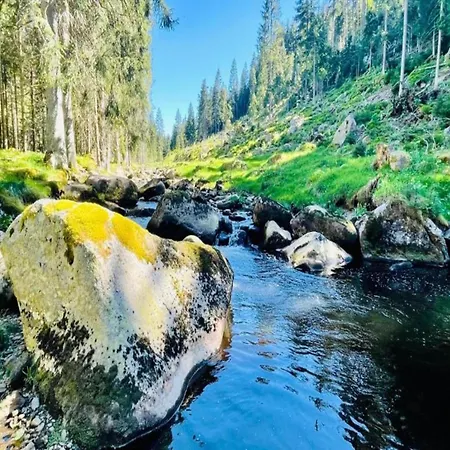 In Bohemia Near Area And Forests Дом отдыха Абертами