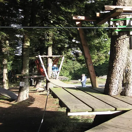 Near Slopes *