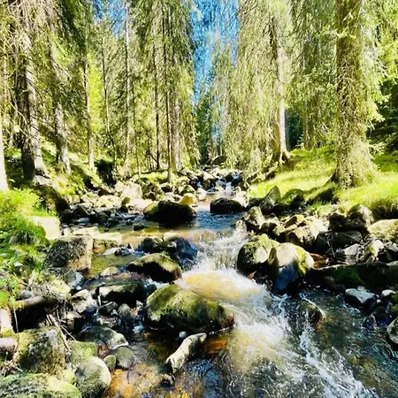 Near Slopes
