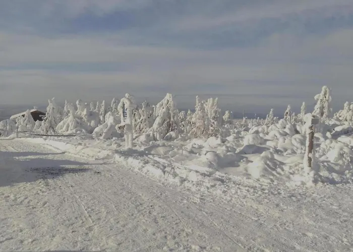 Near Slopes Nyaraló Abertamy