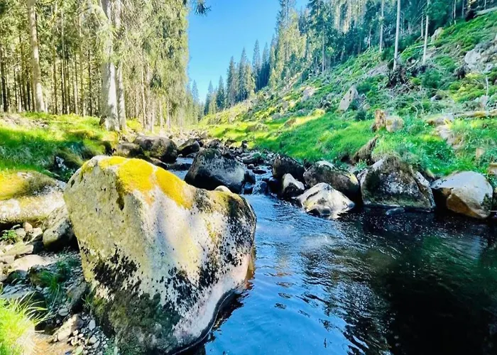 Near Slopes Nyaraló Abertamy